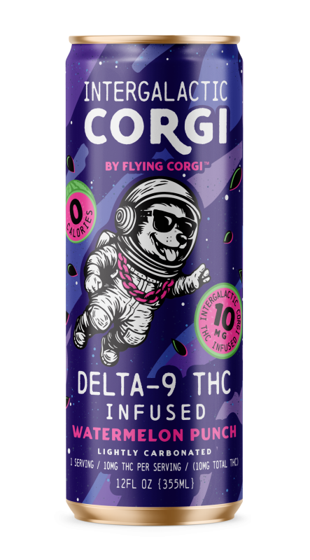 Intergalactic Corgi Watermelon Punch 10MG